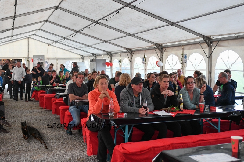 Impressionen 530.jpg